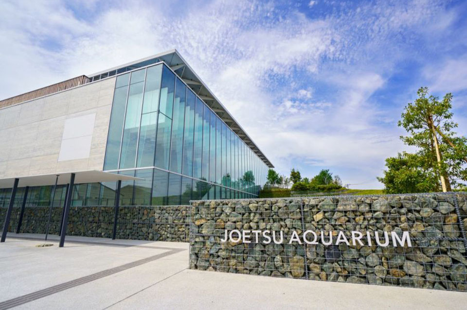 上越市立水族博物館 うみがたり